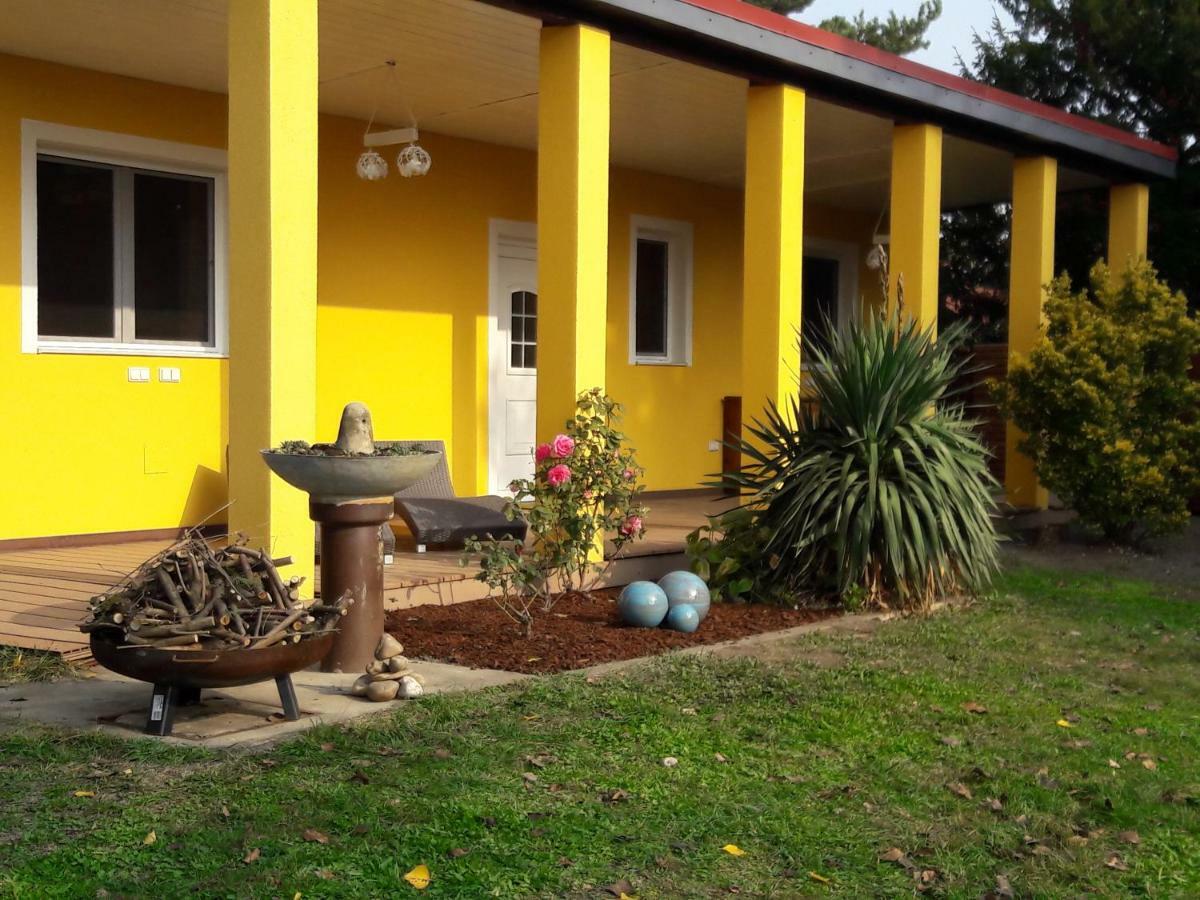 Bungalow At Lake Alte Donau Viyana Dış mekan fotoğraf